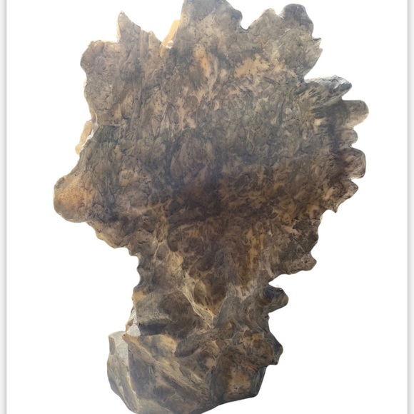 Life-like Wolf Head Sculpture Statue - Picture 5 of 5